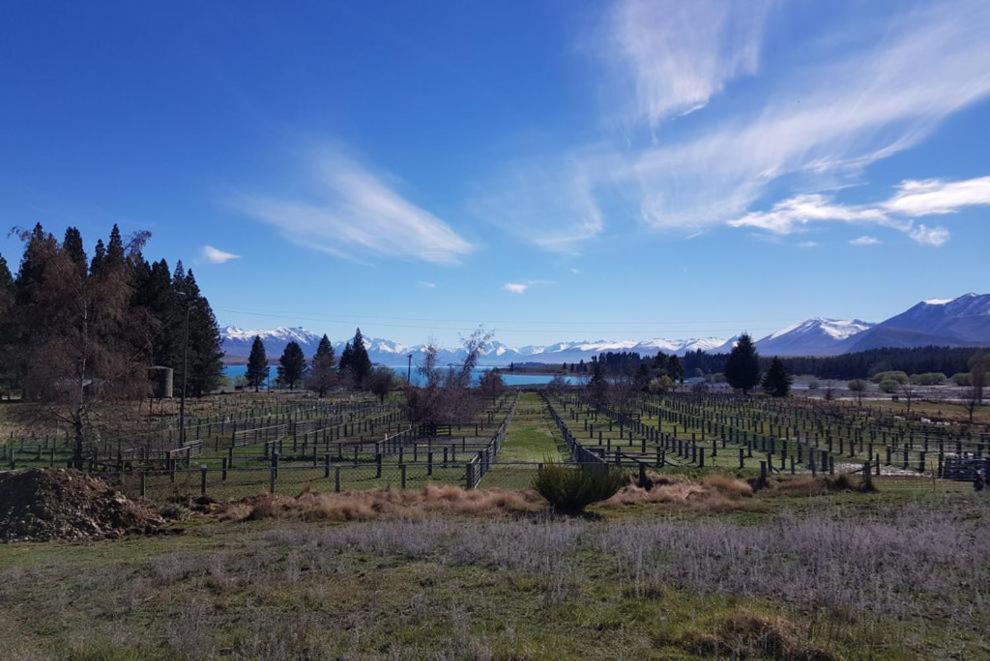 Tekapo Retreat Villa Лейк Текапо Екстериор снимка